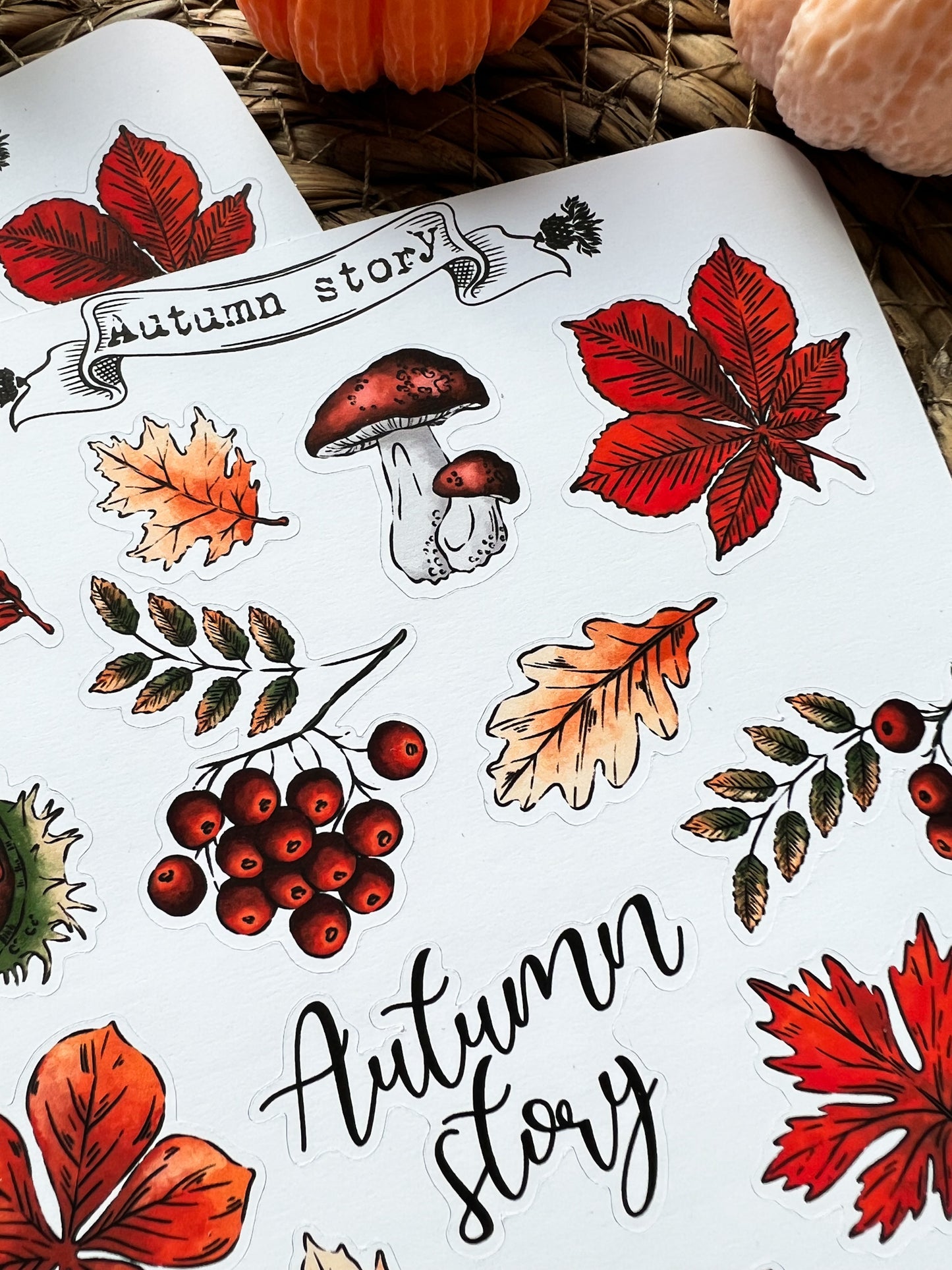 Autumn story Sticker sheet