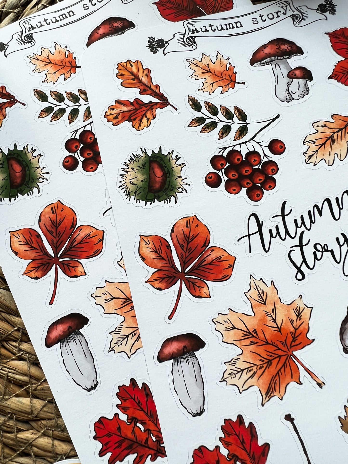 Autumn story Sticker sheet