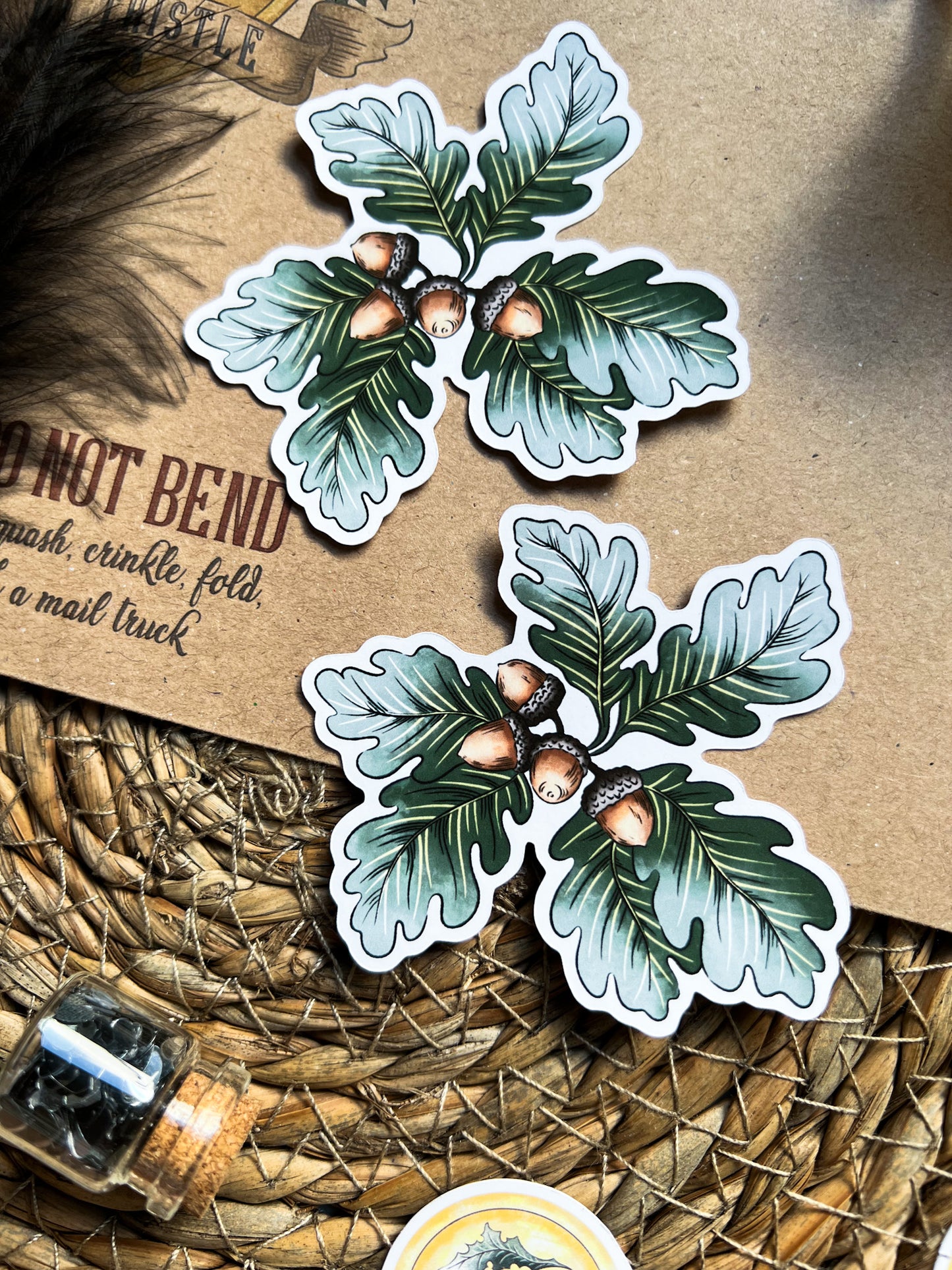 Acorns sticker